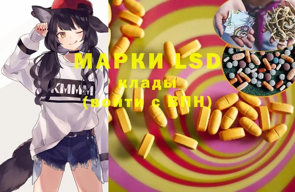 дживик Няндома