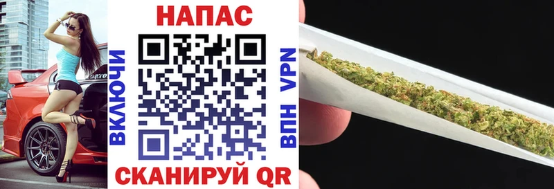 цены наркотик  Ветлуга  Каннабис сатива 